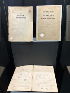 Journal documenting the discovery of the Hal-Saflieni Hypogeum, Malta